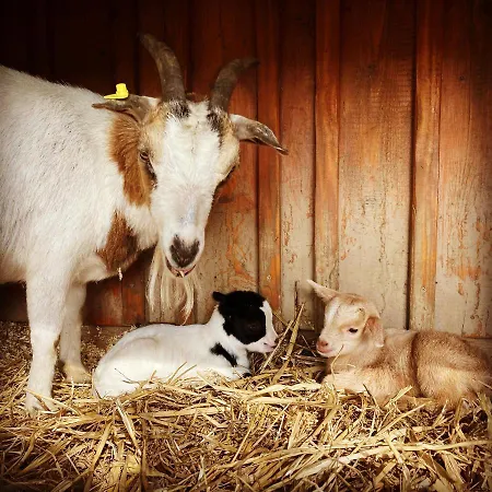 Heinemann's Hof Lennestadt