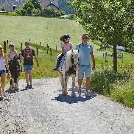 Hotel Heinemann's Hof Lennestadt