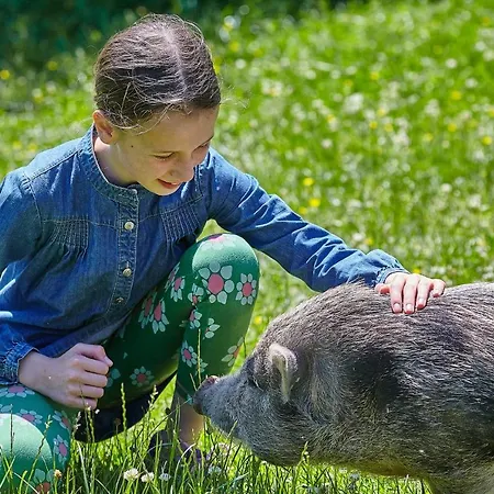 Hotel Heinemann's Hof *