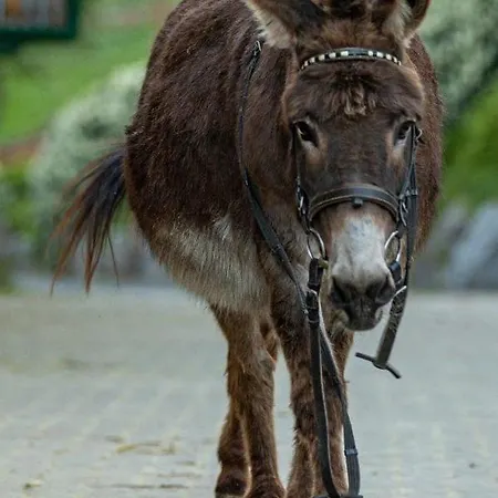 Heinemann's Hof Hotel