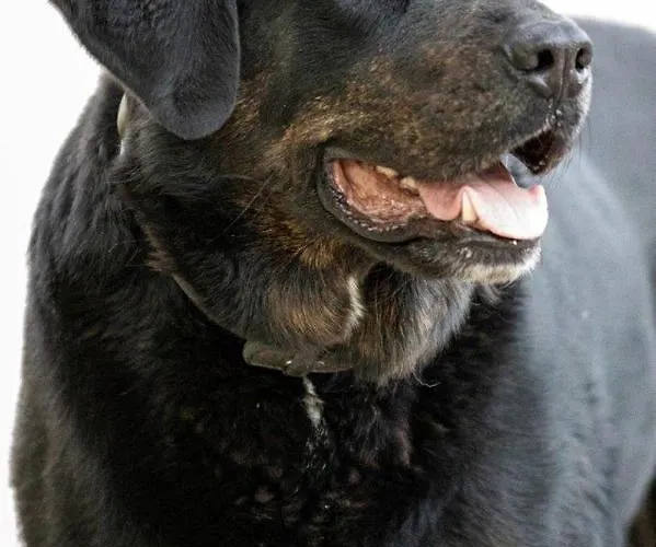 Heinemann's Hof Hotel