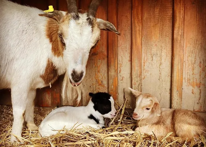 Heinemann's Hof Lennestadt