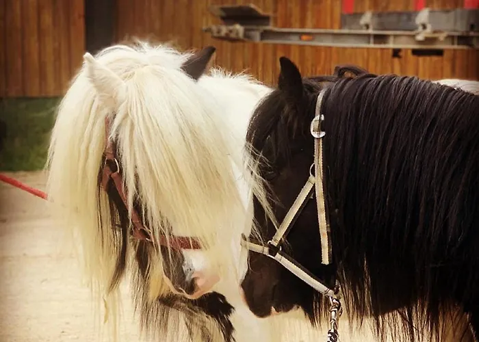 Hotel Heinemann's Hof