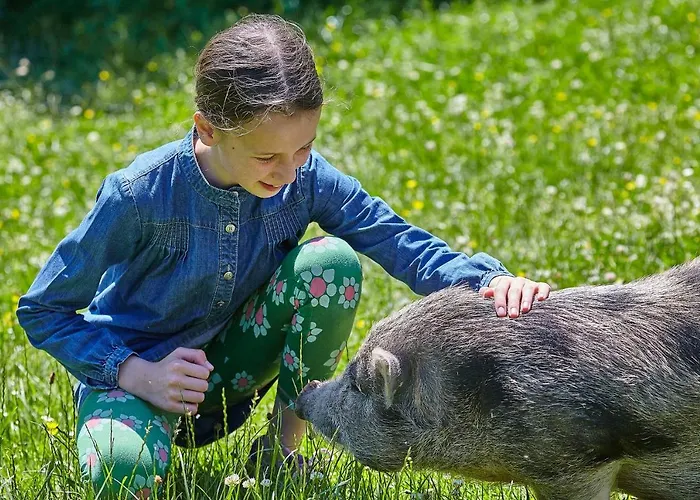 Hotel Heinemann's Hof *